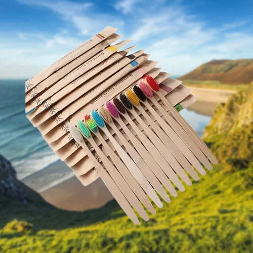 100% Biodegradable Bamboo Toothbrush Disposable Nylon Soft Bristle Reusable For Adults And Children Eco-friendly Home Use