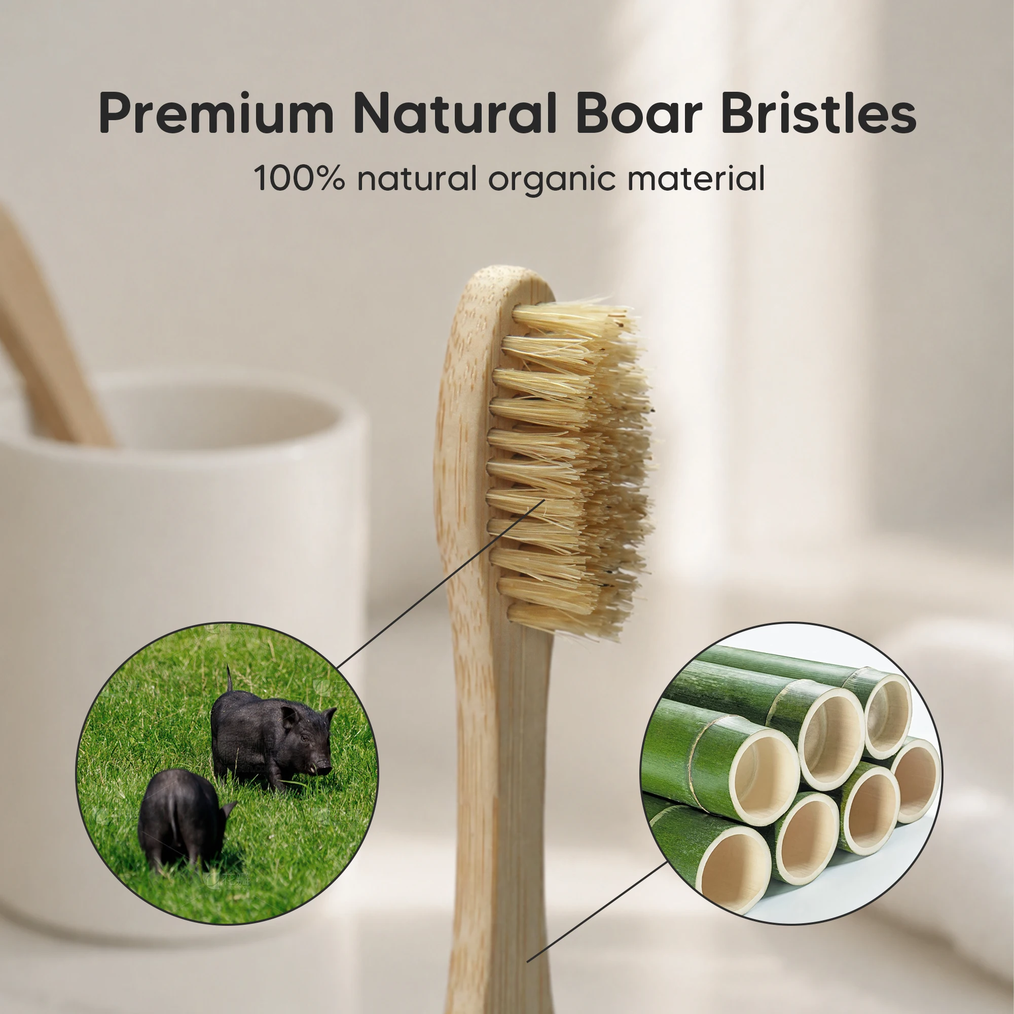 Cepillo de dientes de bambú ecológico biodegradable de pie con cerdas naturales de jabalí y logotipo grabado con láser personalizado en verde