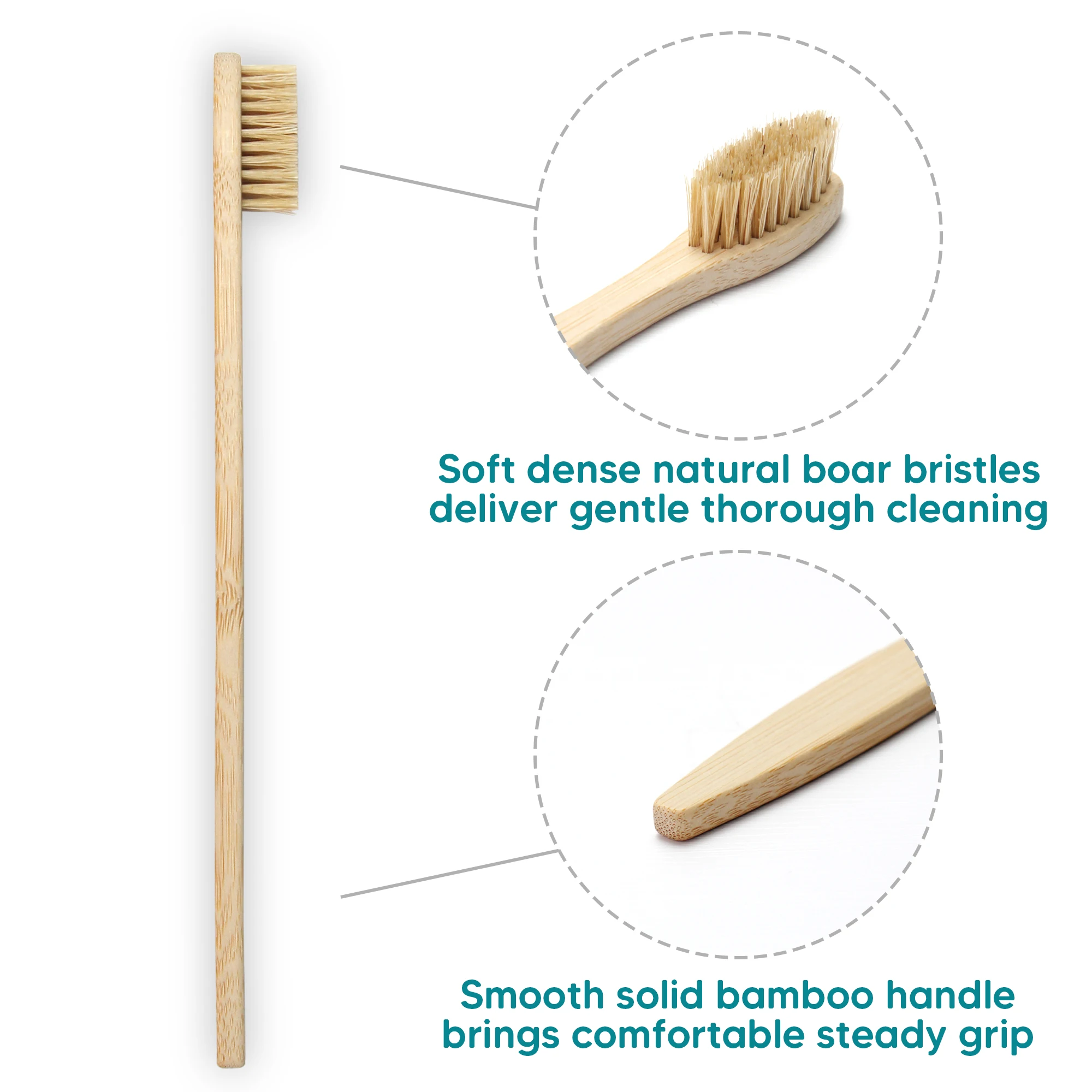 Cepillo de dientes de bambú ecológico biodegradable de pie con cerdas naturales de jabalí y logotipo grabado con láser personalizado en verde